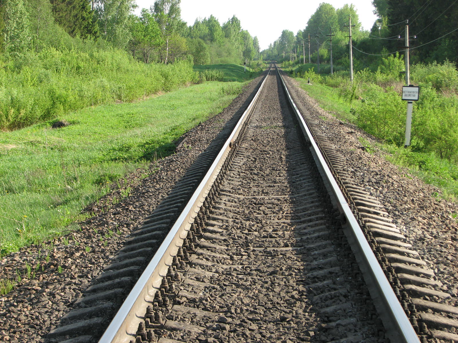 Вид пути в сторону ст. Лозовицы с переезда на о.п. 326 км. 18 мая 2013 года. Фото Алексея Лакомова. Источник: http://www.pskovrail.ru/2013b/325-1b2.JPG